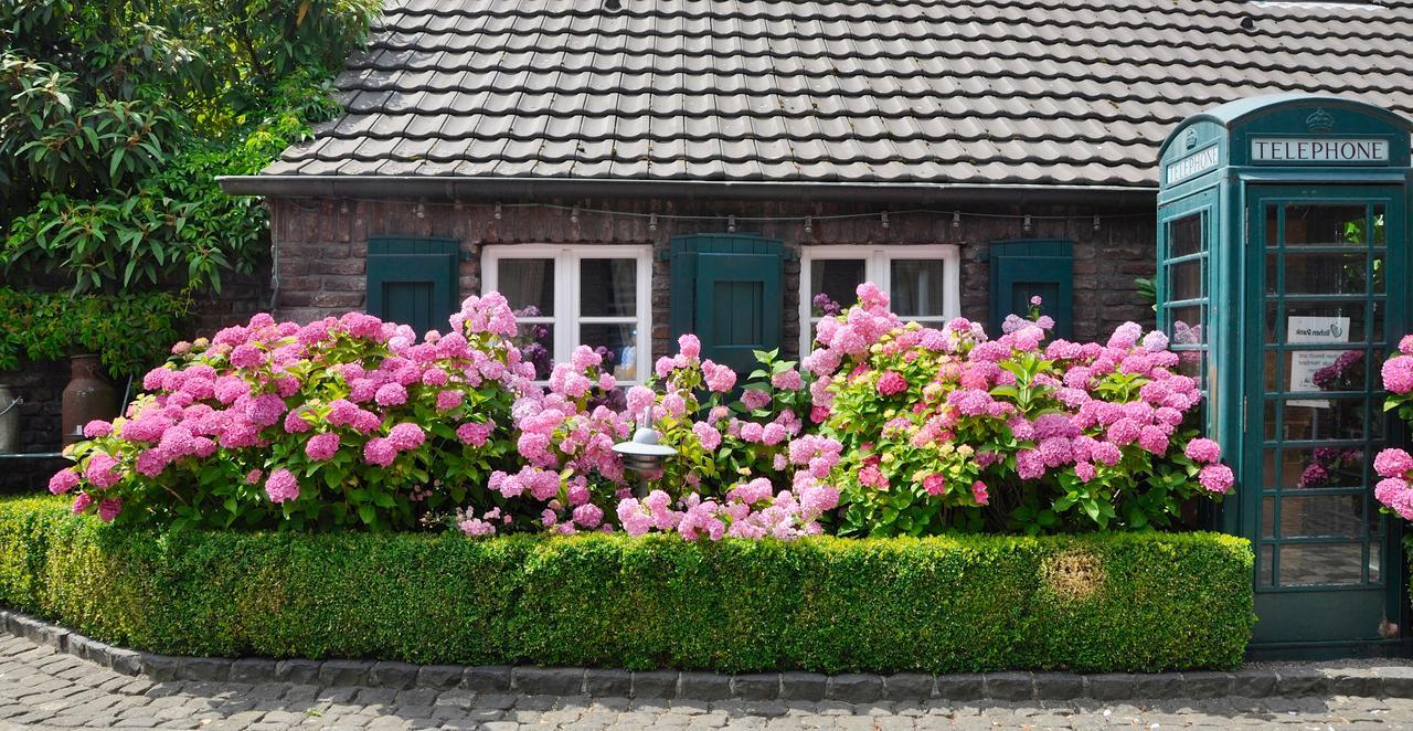 Wellings Romantik Hotel Zur Linde 뫼르스 외부 사진